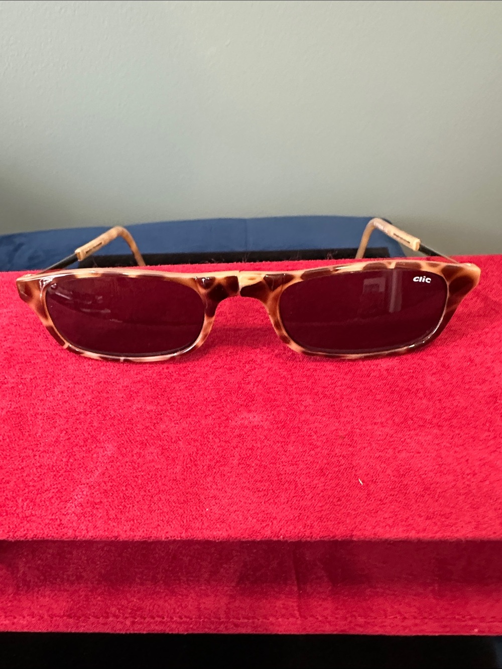 Men's Clic Tortoiseshell Frame Sunglasses - Brown Lenses